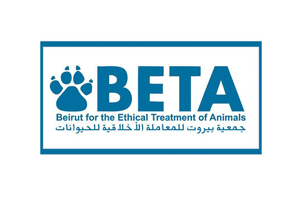 BETA-Beirut For The Ethical Treatment Of Animals Donation worth 5$