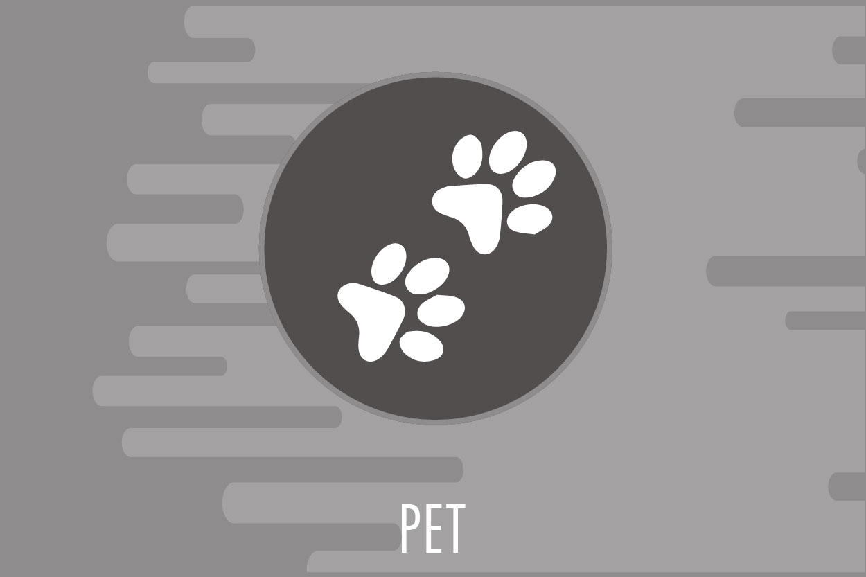 Pet